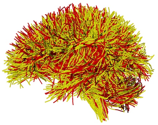 test image